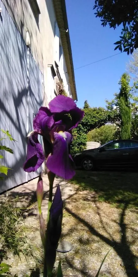 Le Mas des Dames Appartement Avignon