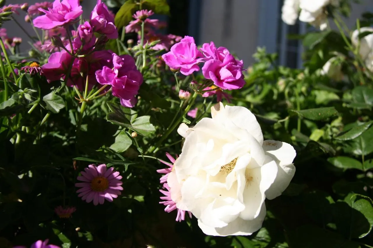 Le Mas Des Dames Appartement Avignon Aparthotel